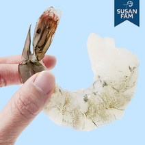 생 칵테일새우 1kg(실중량900g) 깐 새우살 탈각 특품 특대 감바스용, 41-50 인도산 가성비