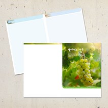 계절 디자인 주보용지 교회 순서지 예배 주보지 안내지 청년부 주일학교 교회행사 성경학교 맥추 추수감사 성탄절 사순절, EA-13