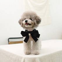 프레쉬어랏 블랙 큐빅리본 강아지 케이프, 1개, 블랙_S