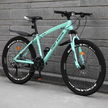 로드 산악 자전거 남녀공용 레이싱, Spoke Bianchi+21speed