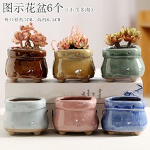 다육화분 다육이 심폴 화분 식물 미니 화분세트, 도자기, 옵션57