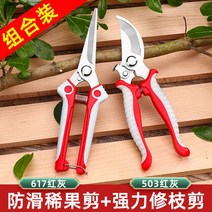 충전전지가위 전동가위 원예용 전정 가위 정원 꽃 과일 나무 원예 장미, 빨간색 가지치기용 가위 + 빨간
