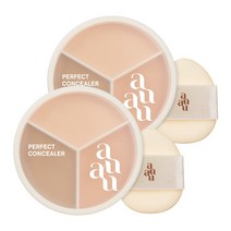 아유아유 퍼펙트 컨실러, 2개