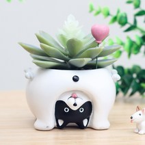 [ROOGO 루고 화분] 거꾸로 보는 세계 - 강아지 카페소품 인테리어소품 커피숍소품 원예소품 원예수업