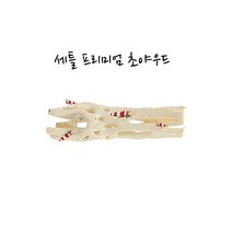 세틀 프리미엄 초야우드중 [8~9cm]