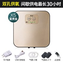 미니 어항 발생기 펌프 소형 가정용 소음방지 충전 휴대식 야외 낚시 USB 산소공급기 교 직류 투웨이 1349533202, x5 부귀금 두개 통큰 재다 풀세트
