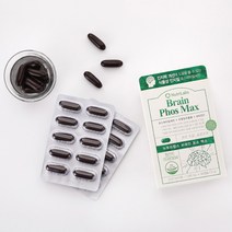 뉴트리랩스 브레인 포스맥스 포스파티딜세린 징코 1200mg x 60캡슐, 1박스
