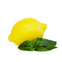 허브야 닷컴 레몬 플레이버오일(식향) 비누 립밤사용가능 10ml