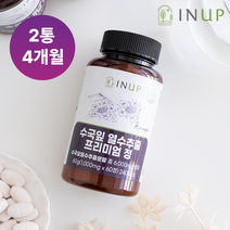 인업 수국잎 열수 추출물 프리미엄정 1000mg 60정, 2통