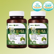 트리플 징코 플러스 4개월분 은행잎 추출물 아연 비타민B6 혈행개선 기억력개선, 단품, 단품