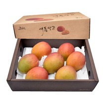 제주 애플망고 선물세트 3kg, 제주 애플망고(특대) 3kg(7~8과)