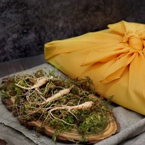 경성건강원 새싹 산양삼 산삼 장뇌삼 삼 산양산삼 천종산삼 효능 먹는법 산삼잎 산삼주 20대후반남자 남친 기념일 선물 부모님 효도 5년-6년 총 5뿌리 정품