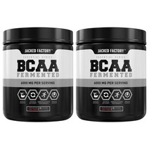 잭팩토리 BCAA 퍼먼티드 6000mg 프루트 펀치, 255g, 2개