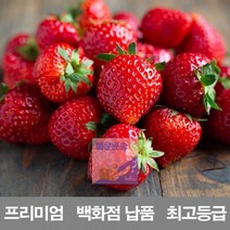 1k500g_금실_제철_납품_프리미엄_만년설_농장_백화점_냉동_딸기_국내산_라떼_설향_청_킹스베리 361B, 상세페이지 참조