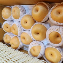 배 신고배 선물용 특품 15kg25-30과 대용량 도매가격판매 대봉감 31-35특과 사과 단감 곶감 감말랭이 판매, 15kg26-30과, 15kg46-55과, 1개