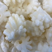 바다식객 냉동 칼집 솔방울 오징어 200g