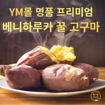 핫한 베니하루카 인기 순위 TOP100을 소개합니다
