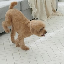 휴팡 강아지매트 사각 폴딩형 미끄럼방지 슬개골보호 친환경 애견 매트 충간소음방지, 01.4T사각형매트(단면), 스노우마블