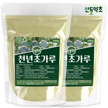 국내산 제주산 천년초 가루 300g 손바닥선인장 선인장줄기 선인장잎 선인장가루 천년초가루 천년초분말 선인장분말가루 손바닥선인장분말, 제주산 천년초가루 300gx2팩
