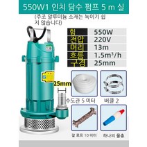 농업용 펌프 220V 펌프 가정용 양수펌프 고양정 농업용 관개용 분뇨 머드 오수펌프 배출펌프 농업용 펌프, 550W1인치 청수펌프개