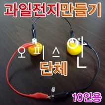 오피스안 과일전지만들기-단체 (10인용) ES-0971