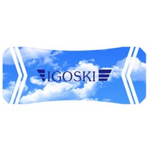 IGOSKI 지상 실내 스노우보드 서핑 밸런스보드 홈트, F