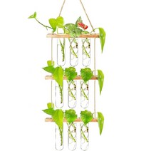 수태봉 콩나물키우기 딸기 수경 재배 wall hanging glass planter plant propagate station with wooden stand 레트로 수경 꽃, 3층 나무