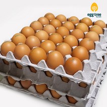 에그트리 생계란 농장직송 달걀, 60구(3120g이상), 대란