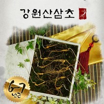 강원산삼초 강원도 명품 산양산삼 6-7년근 산양산삼먹는법 산삼효능, 1세트, 산양산삼 6-7년근 (10주))