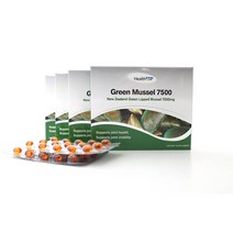 헬스업 초록입홍합 7500mg 60캡슐 4박스 HealthUP Green Mussel 7500, 4개