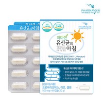 파마젠 유산균의 아침 (500mgx60캡슐) 1박스 (2개월) 766661