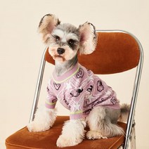 강아지 선인장 톡톡니트 풀오버 고양이 데일리 실내복, 2XL, 01스타 스웨터