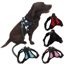 대형견 산책 가슴줄 진돗개 하네스, 가슴줄(기본형)