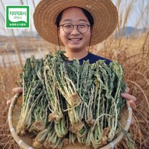 23년 플즈마켓 강원도 양구 펀치볼 무청 시래기 1kg