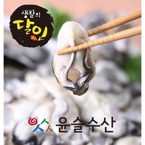17일(화) 낮12시까지 설날명절 앞 택배발송마감!~~ 영양만점통영생굴(횟감용) 5KG