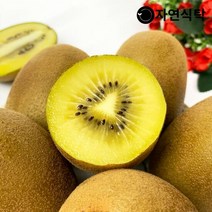 국내산 제주 골드키위 20과 대과(개당105g내외), 단품
