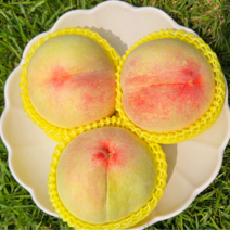 햇사레복숭아 고당도 프리미엄 복숭아 선물용 물복숭아 햇사레 말랑 황도복숭아 엘바트 망고복숭아 엘바백도 황귀비 복숭아, 대향금 2kg(5-7과)