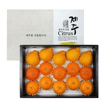 A 제주 명품 특선 세트5kg(15입), 5000g, 상세페이지 참조, 상세페이지 참조, 상세페이지 참조