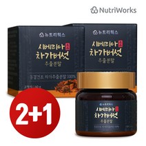 [12월 2+1행사] 뉴트리웍스 시베리아 명품 차가버섯 추출분말 고농축 60g x 3개