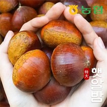 프레시데이 [농협] 토실토실 햇밤 순창 알밤 특대 7kg (제수용), 1