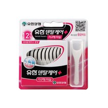 유한양행 덴탈 기구형치실 12입 /기구형 치실 특허 제품, 12개
