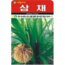 영양소 덩어리 삼채 씨앗(100립)(A0256)