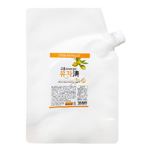 파낙스 고흥 유자청 2kg (파우치), 2개