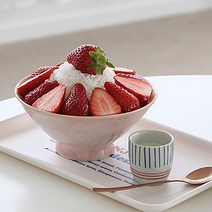 로즈니 빙수 그릇 21종 팔빙수 화채 빙수볼 용기 아이스크림볼, 8시로센빙수볼