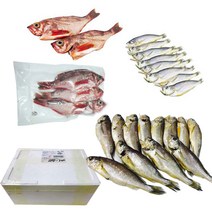 산지직송 가거도 불볼락 참조기조기생선찜매운탕, 1.참조기 12미