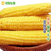 [여량농협] 정선아리랑 냉동 찰 옥수수 50개(18cm내외)/농협품질인증, 상세 설명 참조