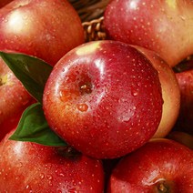 [엄지척농산물] 산지직송 경북 꿀사과 홍로사과, 1개, 2kg 한입 16과내외