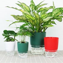 저면관수 화분 심지 자동급수 식물키우기 자동급수화분 물주기 플라스틱화분 인테리어 미니화분, 0해당없음
