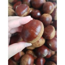 2022년 햇밤 청양 칠갑산 만생밤 특대 (2kg)