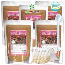 HACCP 식약처 인증 콜레우스 포스콜리 20배 농축분말 콜레우스포스콜리 추출물 100% 포스콜린 함유 아데노신 일인산 활성 콜레우스포스콜리추출분말 + 슈퍼푸드.com 연자육 티백, 5세트, ( 팩 300g + 1g )